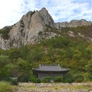 태조목장 이미지