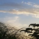 개인(박정자) 이미지