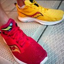 퓨네이처 | 러닝화 추천 : 뉴발란스 퓨어셀 레벨 V5 리뷰