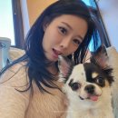 도도애견샵 | [중랑구 카페] 다시사랑받개 망우동 유기견 카페 예약 주말 후기 사지 말고 입양하세요