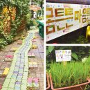 성음유치원 이미지