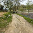 부강119안전센터 이미지