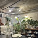 벗히얼(But,here) 이미지