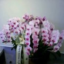 신동훈의원 이미지