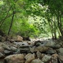 호명산캠프 이미지