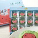 과자의성