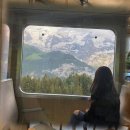 써니벨리 이미지