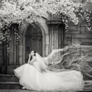 플러스웨딩결혼정보 이미지