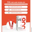 [Review] 유산균 추천 : 내가 찾던 유산균 요거균 (1000억 유산균)