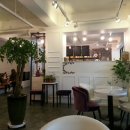 파페모에 이미지