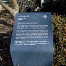 건물명 미상 네이버블로그