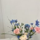땅트플레르 이미지