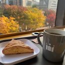 래빗하우스 B 이미지