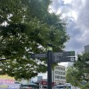 서울 한양도성(서울성곽) | 서울 가볼만한 곳 낙산공원 성곽길 서울한양도성길 2코스 동대문 성곽공원