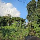 준재활의학과의원 이미지