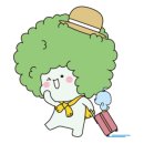 마야네일 이미지