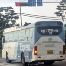 와이드대성 이미지