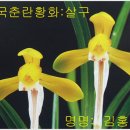 천향원