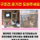 블리독 - 강북구 도봉로 388 | 블리독