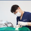 서울봄플란트치과의원 이미지