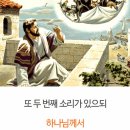 고정관념