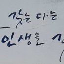 천주채관 이미지