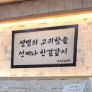 상아동물병원 이미지