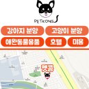 펫콩 이미지