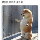 파랑 이미지
