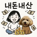공언니펫살롱 | 강아지펜션후기 : 횡성 펫704 다녀옴 🐕🐾🏨