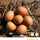 원하농장 이미지