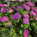 갤러리하루농장 이미지