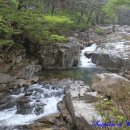 해인사 소리길 이미지