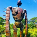 킹태권도장 이미지