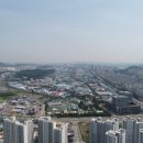 대전 4252 대전일보