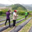 화순읍사무소 이미지