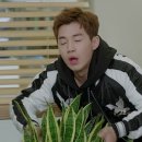 산세베리아농원