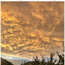 법흥 캠핑장 이미지