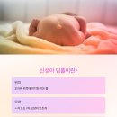 딤플 티스토리