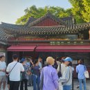 11530-06-30 | 창경궁 야간개장 해설투어 솔직 후기, 서울 데이트로 정말 추천하고 싶은 이유