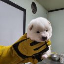 죽리길 이미지