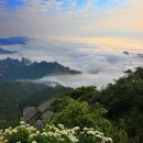 대청봉주유소 이미지