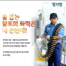 [#78]해군704기 병과안내 [갑판병/조타병/병기병/전탐병/전자전병] 이미지