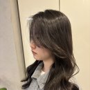 하룸 이미지