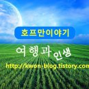 속초사잇길 제3길 이미지