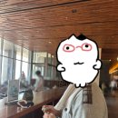 황금아쿠아 | [하남/스타필드] 겨울 실내데이트 코스 추천 아쿠아필드 찜질방 다녀온 후기, 생활의 달인 호떡