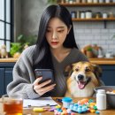 청진식품 | 강아지감기 겨울철 급증하는 이유와 예방·관리 방법