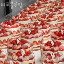 비포블루밍