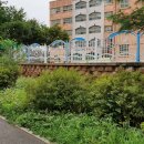 영선초등학교 담장  이미지