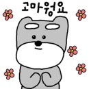 반이크(Baniik) 네이버블로그